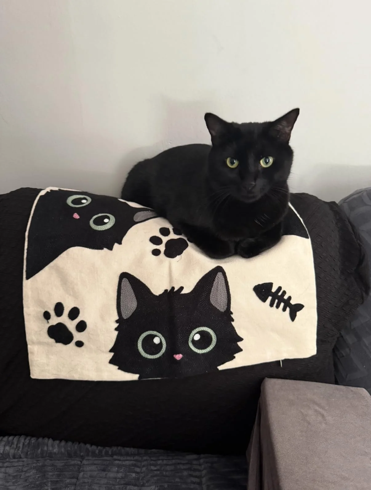 Black cat pillow cover shown with a customer cat