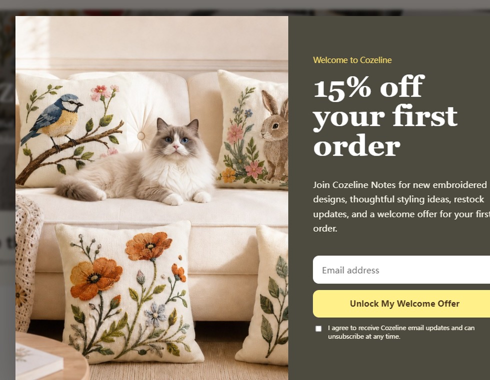 Cozeline embroidered pillow covers in a styled home